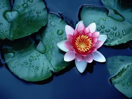 Ra Ma Da Sa (Healing Mantra)