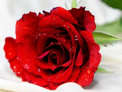 Healing Meditation 1 In The Akashic Records (25 Feb 2023)