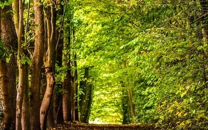 Healing Meditation 2 In The Akashic Records