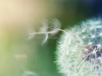 Healing Meditation For Betrayal & Loss