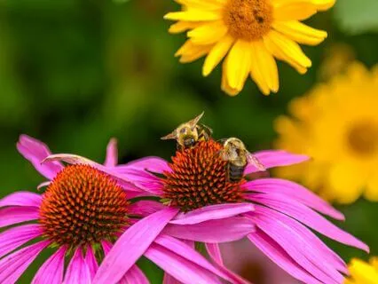 Healing Meditation For Fertility