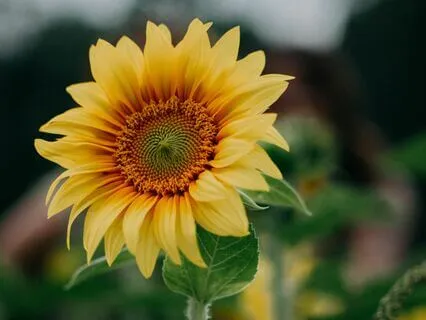 Healing Meditation For Self Love And Confidence