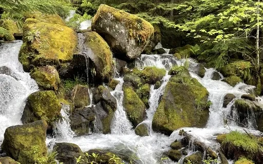 Healing Meditation For Sickness