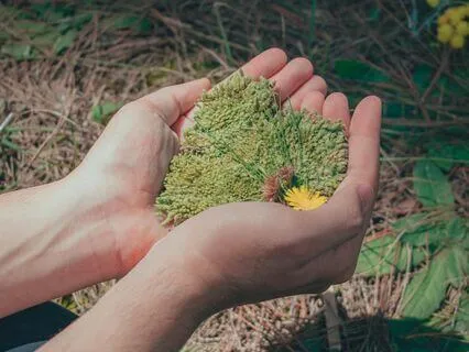 Healing Meditation For Your Fertility Path