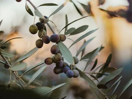 Healing Meditation On Grief