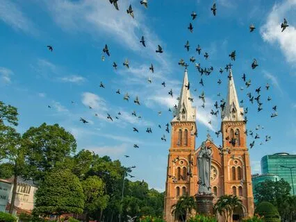 Healing Meditation On The Widow And Her Son (1 Kings 17)