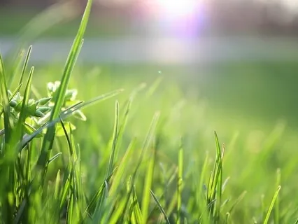 Healing Meditation: Parts Therapy