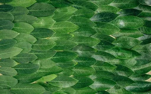 Healing Meditation: Soul Energy Alignment, Power Back