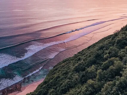 Boost Immune System During Coronavirus