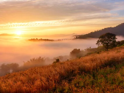 Healing Mist For Hormonal Imbalance From ED (No period, Hypothalamic Amenorrhea, PCOS, Etc.) + Body Scan