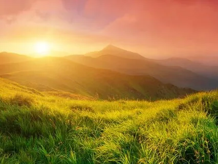 Healing Mother Earth And Our Connection To Her