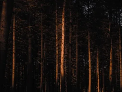 Healing Music - 528Hz