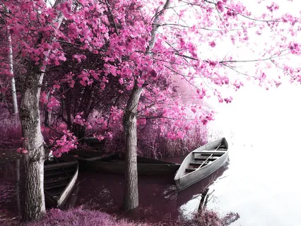 Healing Music - 741Hz Clean The Body