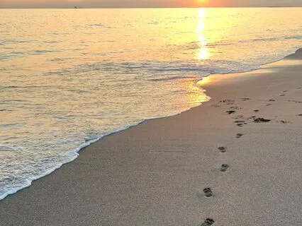 Healing Music For Grounding Practices And Energy Work