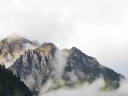 Healing Music For The Heart And Blood Vessels Into Deep Sleep