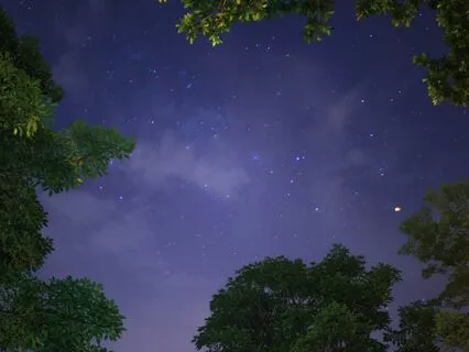 Healing Music Oasis - Sleep Fast