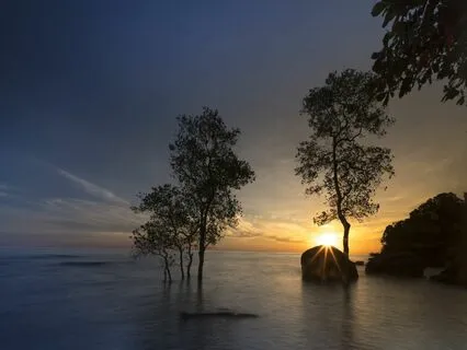 Healing Music With Alpha Waves