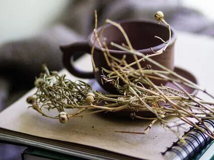 Healing Narratives: Finding Peace After A Breakup Or Divorce