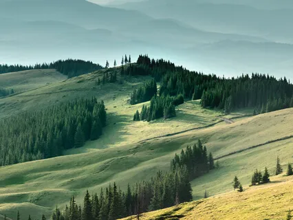 Healing Nature (Handpan Music At 432hz)