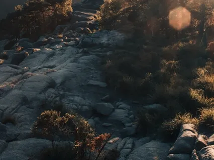 Healing Nature Visualization