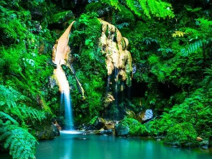 Healing Meditation | Healing Oasis For Deep Relaxation