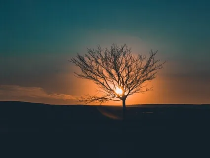 Healing Our Emotional Body: Solar Plexus Chakra Clearing With Solfeggio