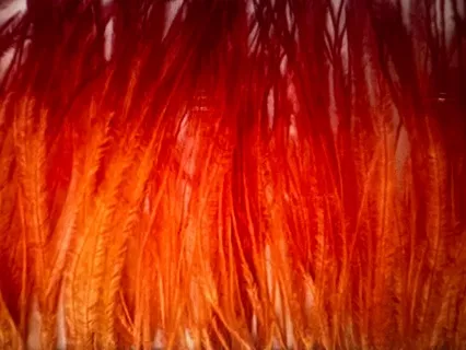 Healing Our Hearts And Igniting Joy