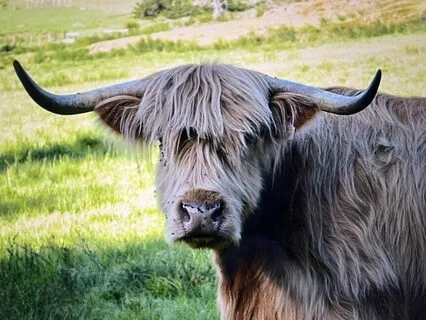 Healing Our Stomach For Stability Nourishment And Support