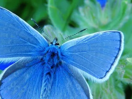 Healing Our Throat Energy And Activate Our Freewill