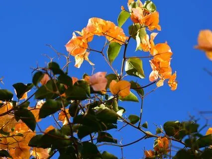 Healing Our Work Environment