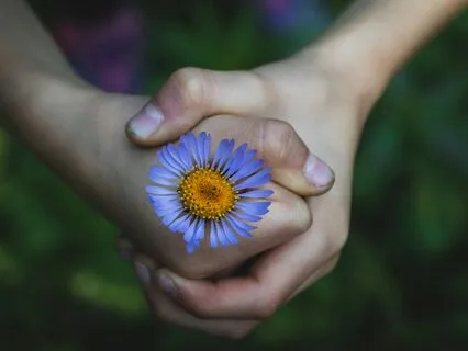 Healing Parental Wounds And Releasing Burdens