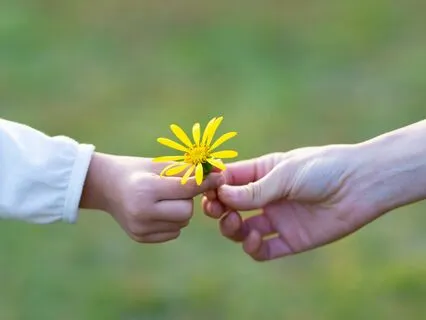 Healing Parenting Stress Sleep Meditation