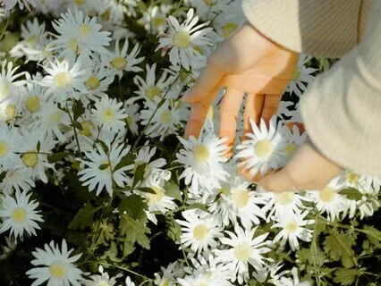 Healing Perfectionism