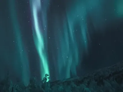 Healing Piano (Cosmic Traveler) - Live 19 Of November