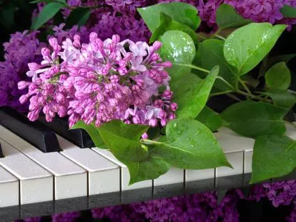 Healing Piano Melodies 3