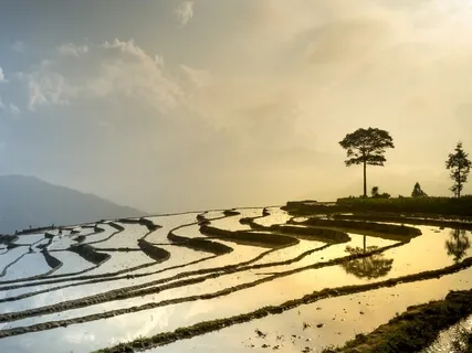 Healing Piano Music | Healing Frequency