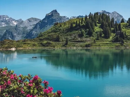 Healing Piano Music - Piano Improvisation