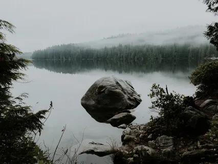 Healing Pond Yoga Nidra