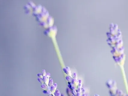 Healing Power Nap II - Solfeggio, Binaural And Subliminal