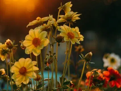 Healing Power Of Worthiness