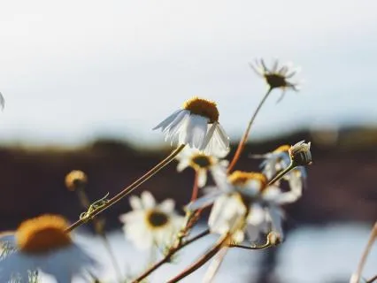 Healing: Practicing The Presence