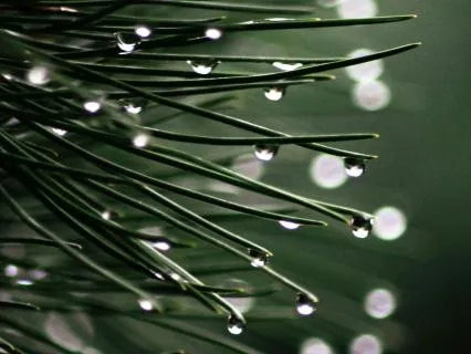 Healing Rain And Music For Deep Sleep