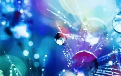 Healing Rain ~ Soft Rain Falls & Rain Flowers Bloom