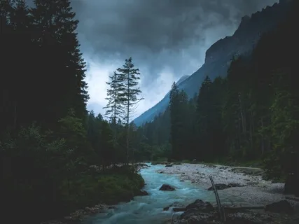 Healing Rainforest - Tones Of The Nature With Atmospheric Sounds For Deep Sleep, Harmony & Meditation