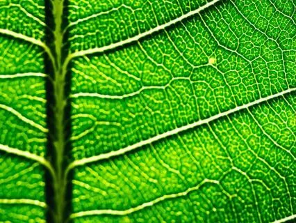 Healing Regret: A Meditation To Process And Heal