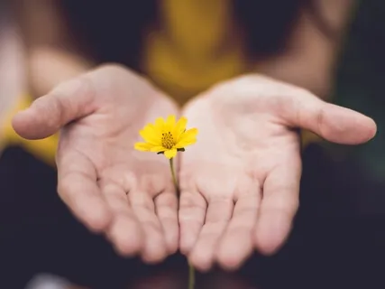 Healing Relationships - Live Meditation With Breathwork