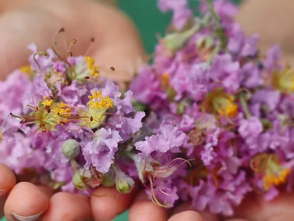 Healing Relationships Meditation