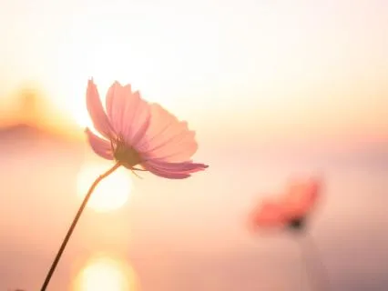 Healing Relationships Through Self-Love And Divine Alignment