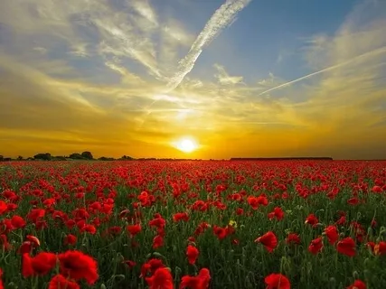 Healing Relaxation Meditation