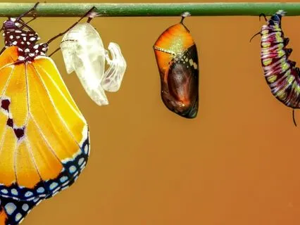 Healing Resistance To Change